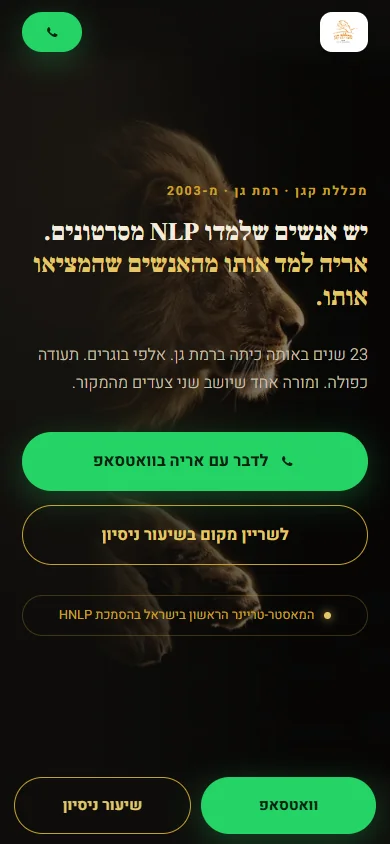 כיוון עיצובי ראשון