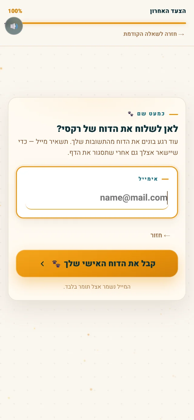 מסך המייל